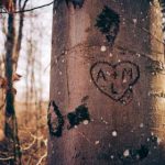 金盛娱乐:带你领略精彩纷呈的线上活动与赛事 240yiff