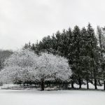 金钻娱乐:探索娱乐行业的新兴趋势与发展前景 5aia8