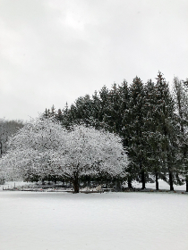 金钻娱乐：探索娱乐行业的新兴趋势与发展前景