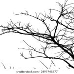 金赞彩票app下载平台全方位评测与新手玩法攻略详解 9w874