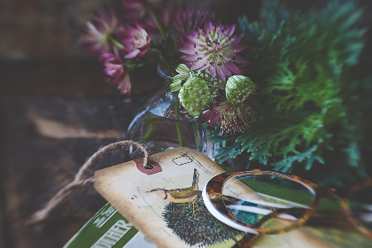 金莎娱乐app官方网站用户评价：真实体验分享与建议