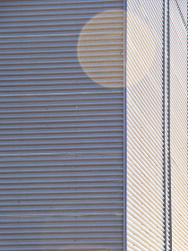 金盛：探索中国传统文化与现代商业的完美结合